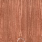 ASH DYED PINK SN non match