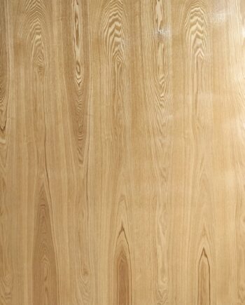 ORIENTAL ELM 1302