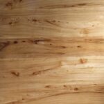 RED ELM (HZ)  K7203