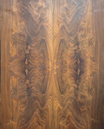 WALNUT CROCH E-2939 TIMEX